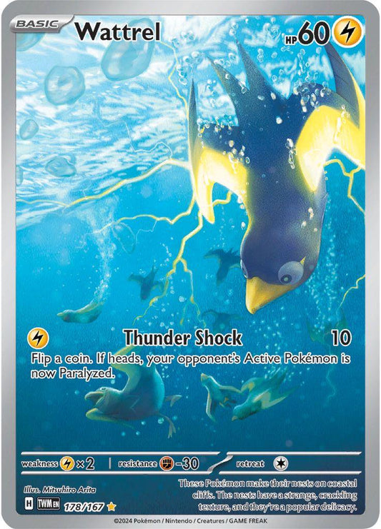 TWM - Wattrel 178/167 - NM